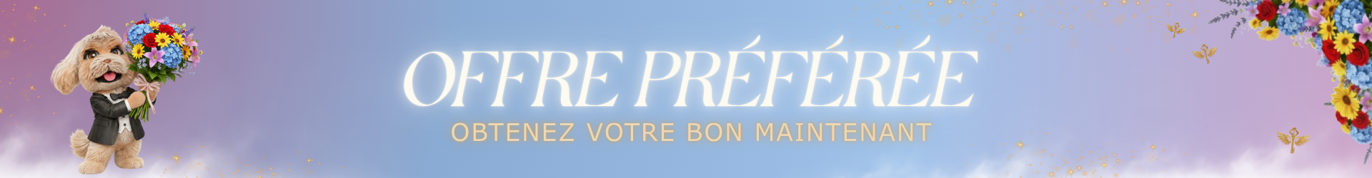 Offre spéciale — obtenez votre bon maintenant