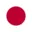 TOKYO Flag